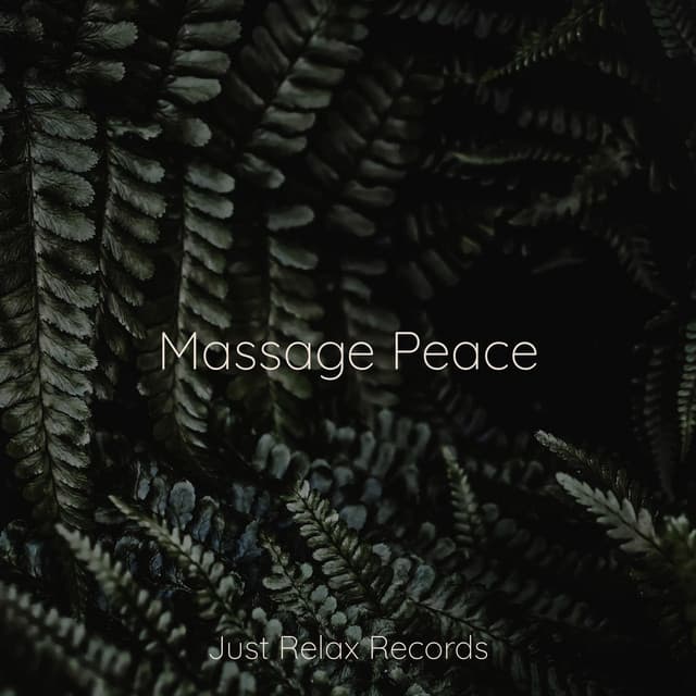 Massage Peace - Sonidos de la Naturaleza Relajacion