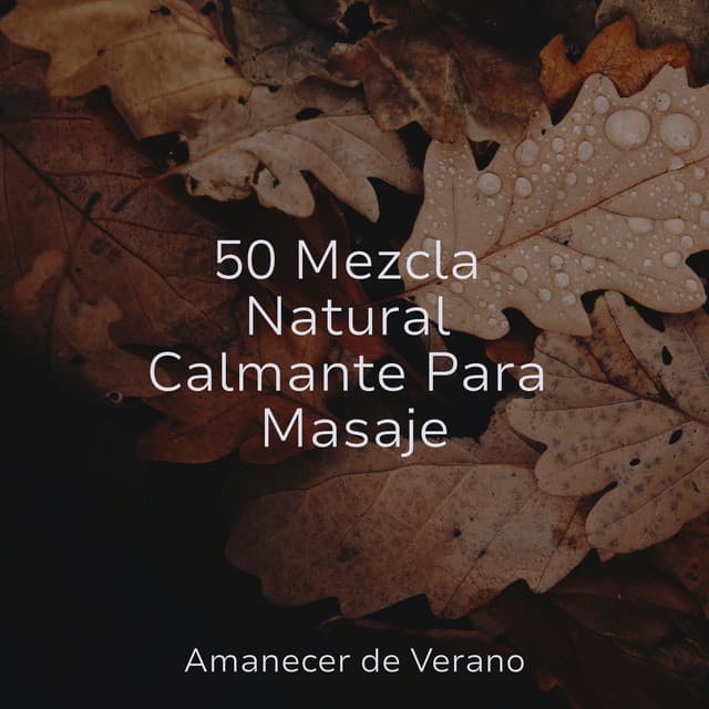 50 Mezcla Natural Calmante Para Masaje - Musica Para Estudiar Academy