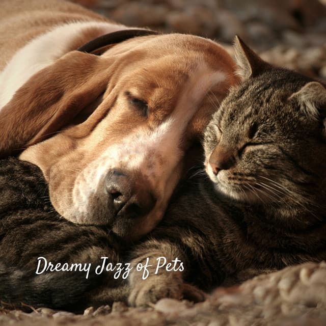 Dreamy Jazz of Pets - Soft Jazz Songs
