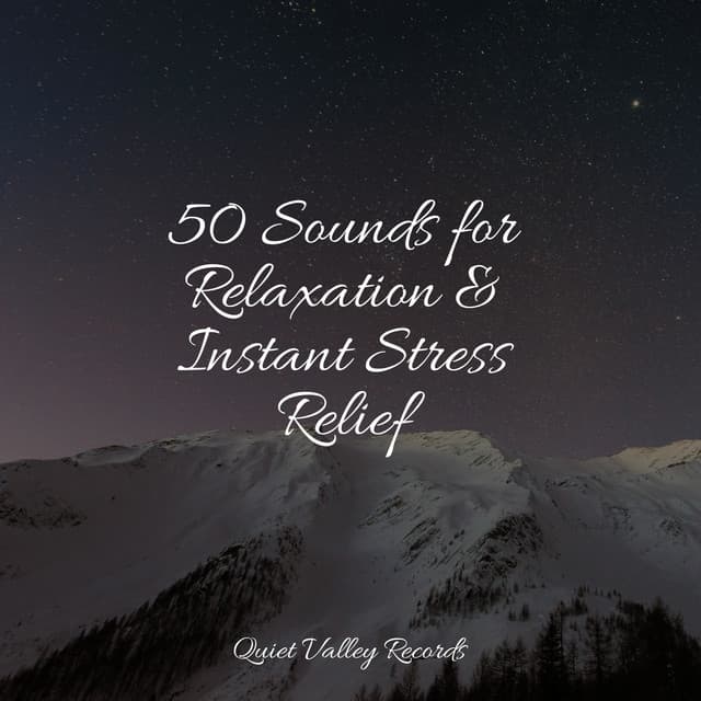 50 Sounds for Relaxation & Instant Stress Relief - Meditative Music Guru