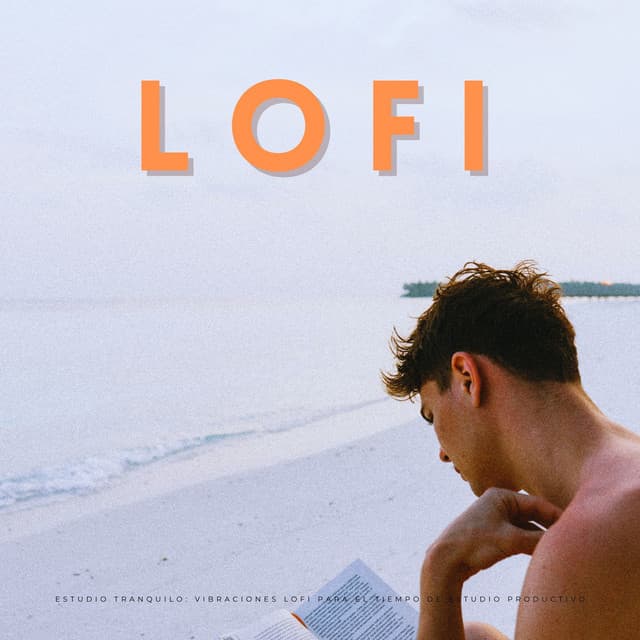Estudio Tranquilo: Vibraciones Lofi Para El Tiempo De Estudio Productivo - Estudio lofi