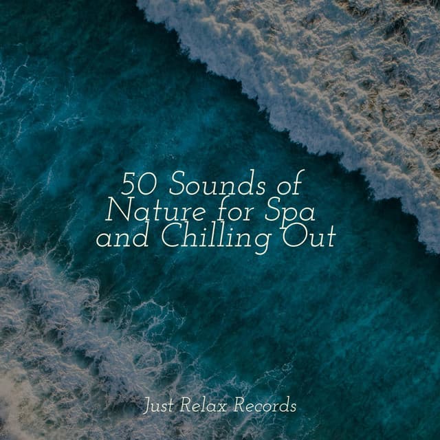 50 Sounds of Nature for Spa and Chilling Out - Sleep Baby Sleep