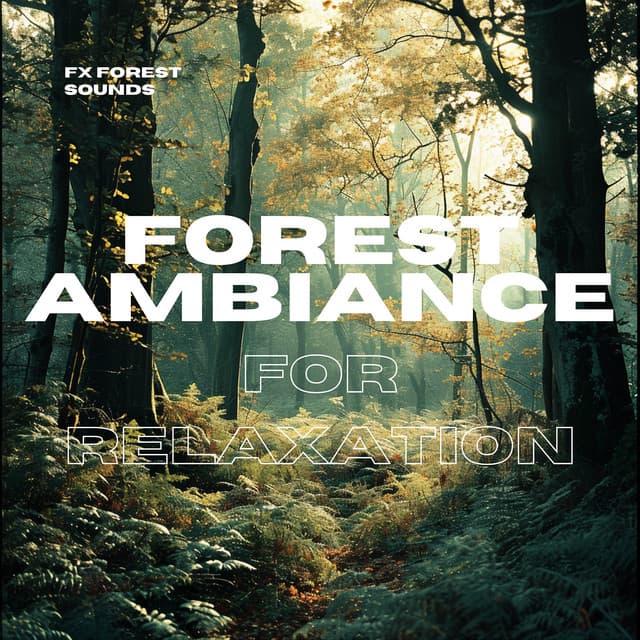 Forest Ambiance for Relaxation - FX Forest Sounds