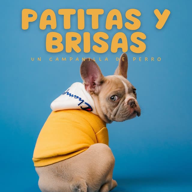 Patitas Y Brisas: Un Campanilla De Perro - Muestreo estéreo al aire libre