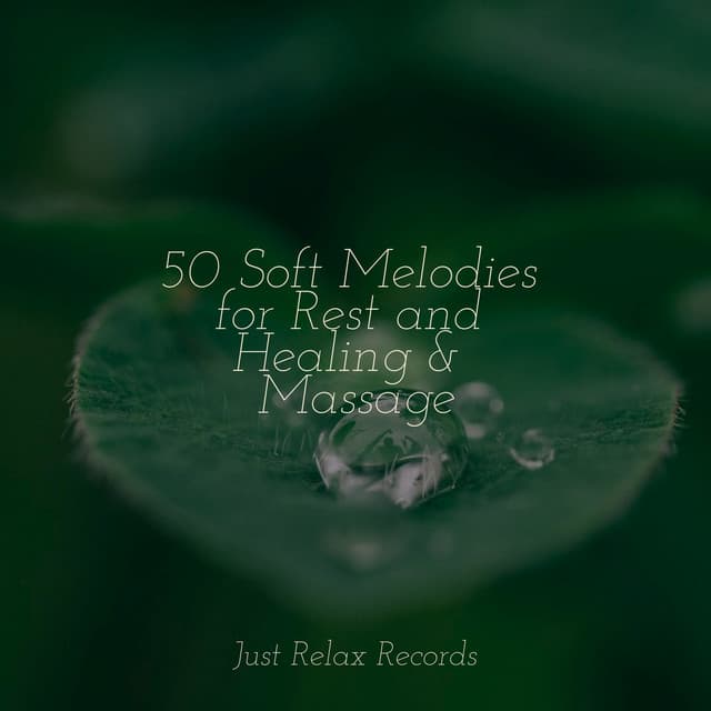 50 Soft Melodies for Rest and Healing & Massage - Study Music & Sounds