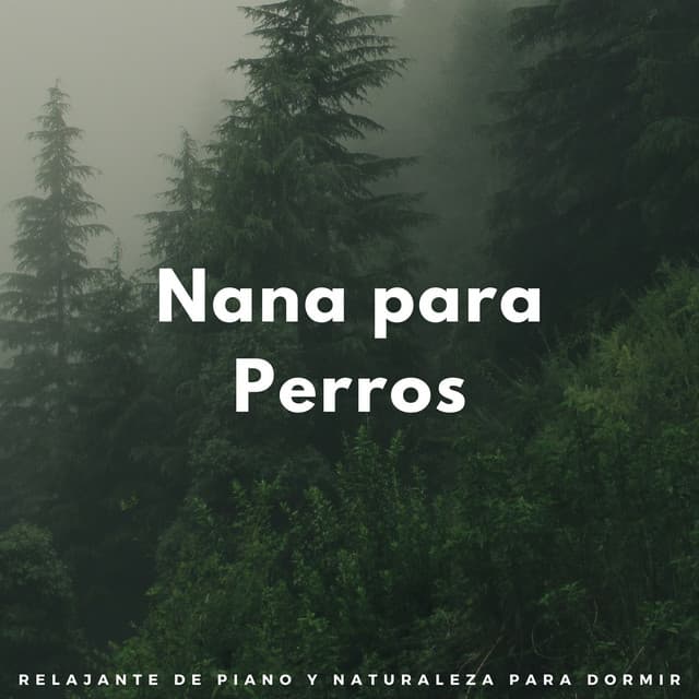 Nana Para Perros: Ambiente Relajante De Piano Y Naturaleza Para Dormir - Chillout Salón Piano