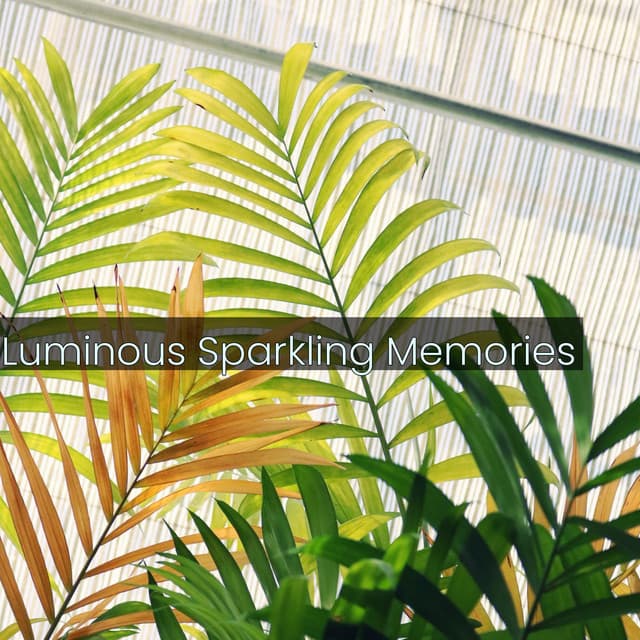 Luminous Sparkling Memories - Spiritloom