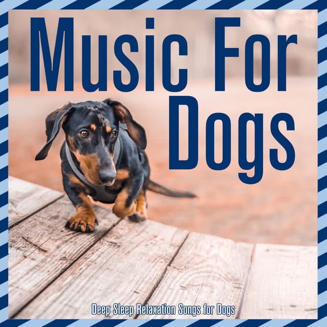 Music For Dogs: Deep Sleep Relaxation Songs for Dogs - Relaxmydog