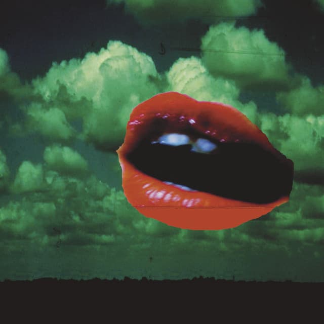 Polar Bear - Sebastian Rochford