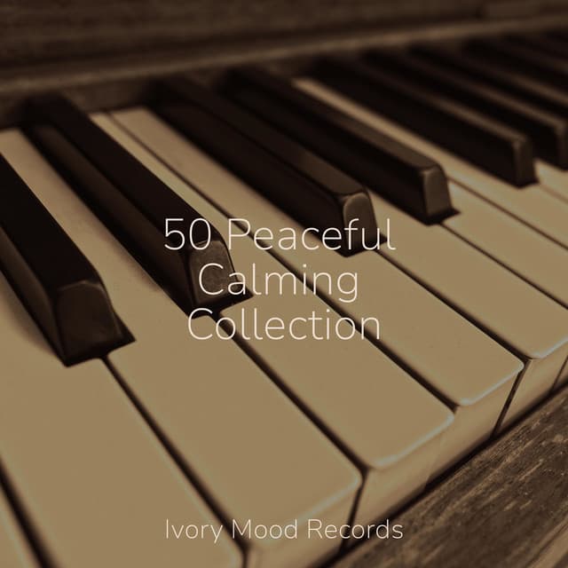 50 Peaceful Calming Collection - Meditation