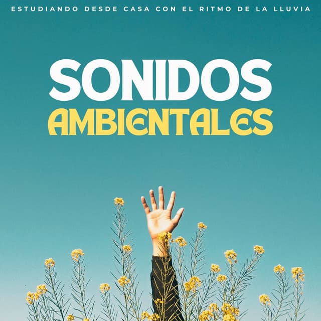 Sonidos Ambientales: Estudiando Desde Casa Con El Ritmo De La Lluvia - Ambiente De Lluvia