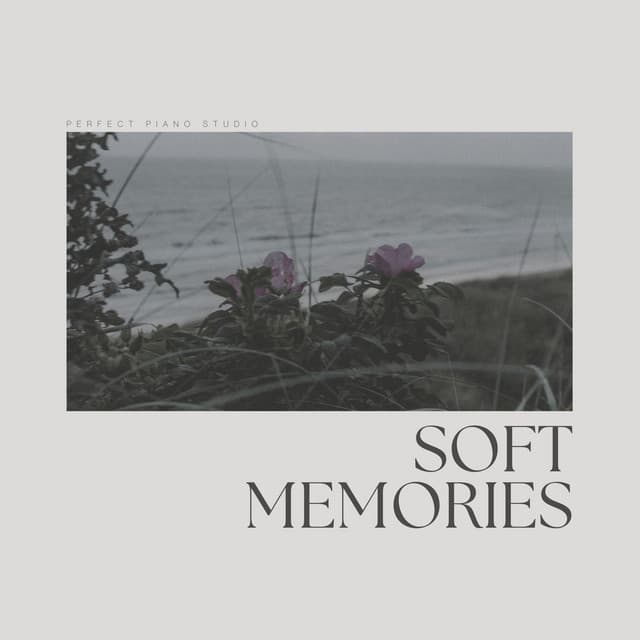 Soft Memories - Relaxing Radiance