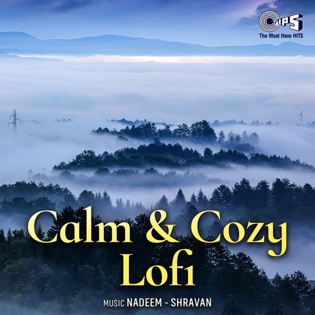 Calm & Cozy Lofi instrumental - Nadeem Shravan