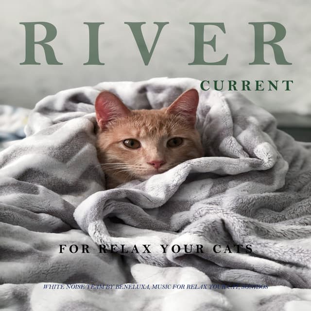 River Current for Relax Your Cats - White Noise Team by Beneluxa