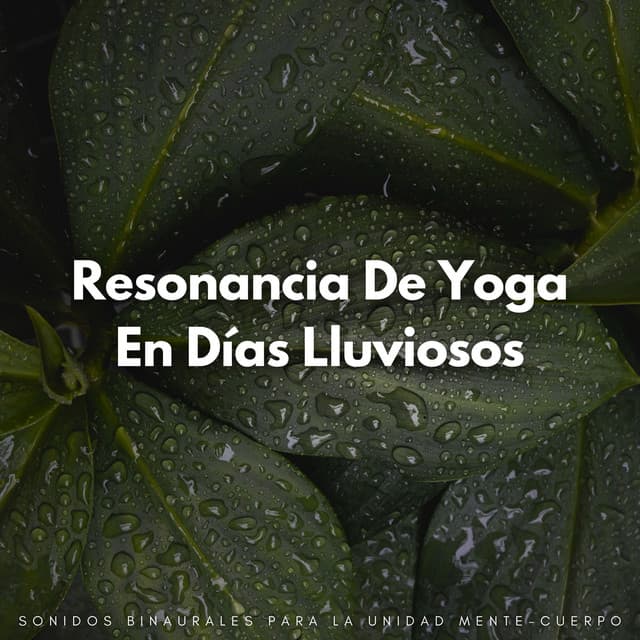 Resonancia De Yoga En Días Lluviosos: Sonidos Binaurales Para La Unidad Mente-Cuerpo - Lluvia Instantánea