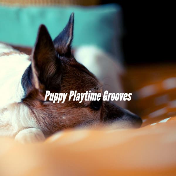 Puppy Playtime Grooves - Dog Separation Anxiety Music