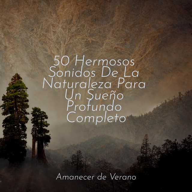 50 Hermosos Sonidos De La Naturaleza Para Un Sueño Profundo Completo - Dulces Sueños