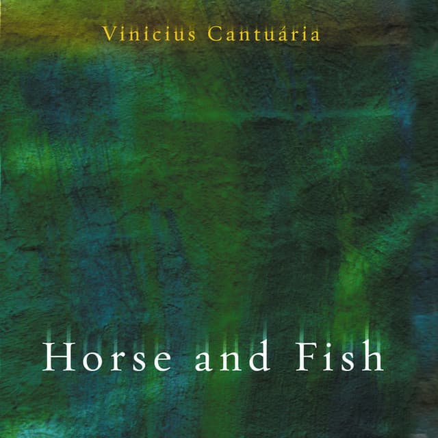 Horse and Fish - Vinicius Cantuaria
