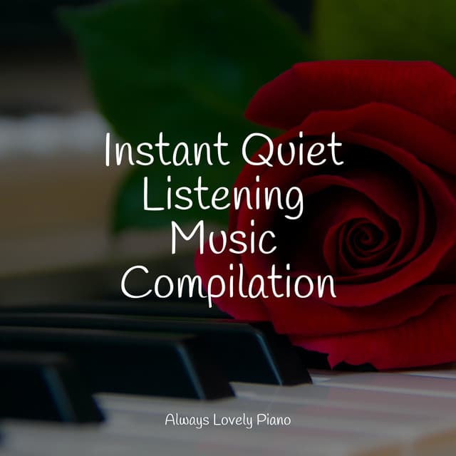 50 Tranquil Piano Tunes for Relaxation - Piano para Relaxar