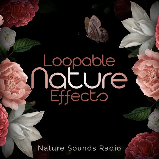Loopable Nature Effects - Nature Sounds Radio