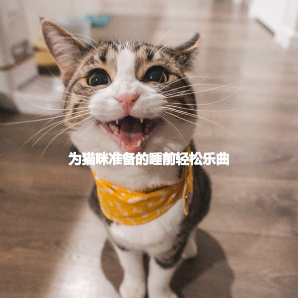 Dinner Background Music