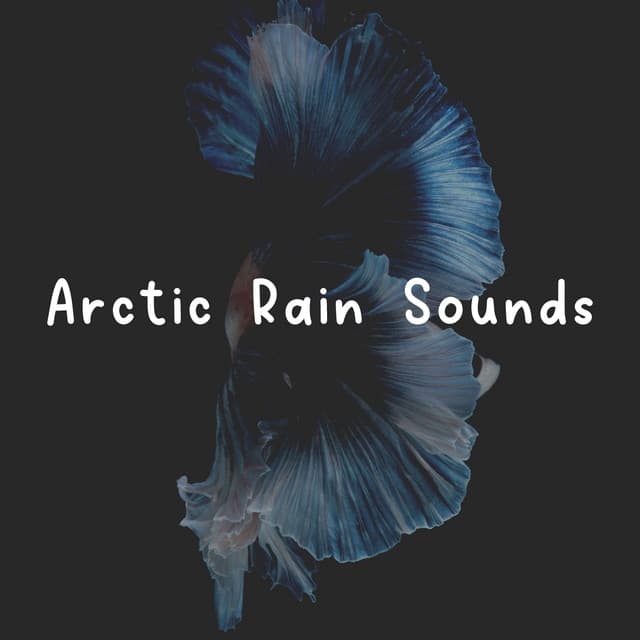 Arctic Rain Sounds - 24H Rain Sounds