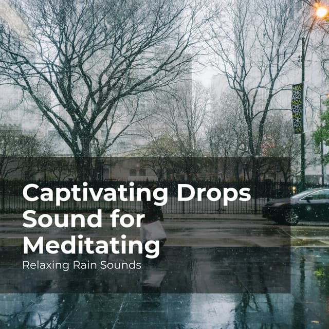 Captivating Drops Sound for Meditating - Relaxing Rain Sounds