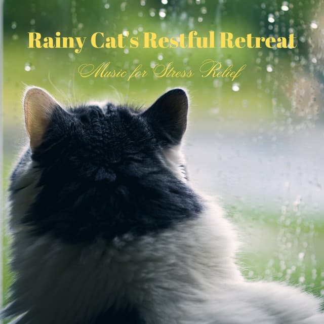 Rainy Cat's Restful Retreat: Music for Stress Relief - Rainfall Sound for Sleep