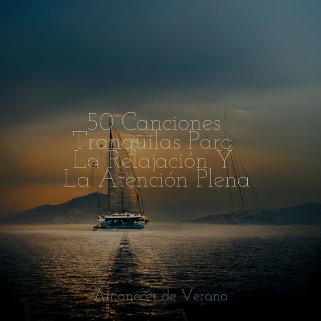 50 Canciones Tranquilas Para La Relajación Y La Atención Plena - New Age