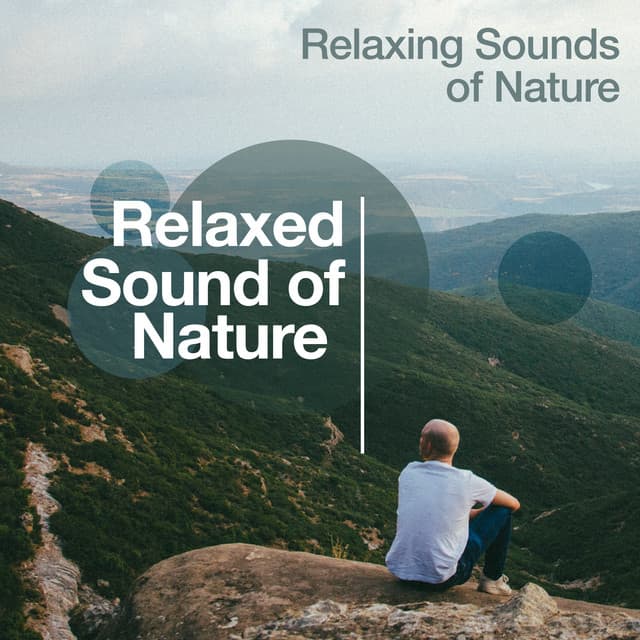Relaxed Sound of Nature - Relaxing Sounds Of Nature