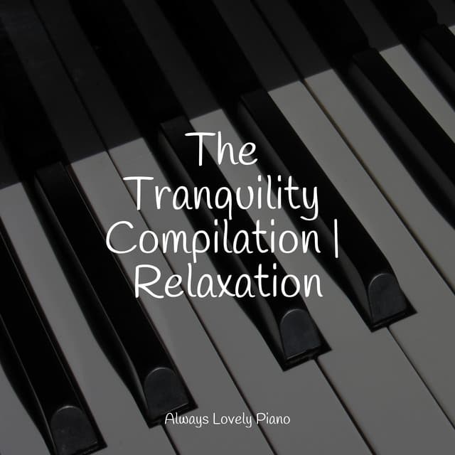 Instant Quiet Listening Music Compilation - Calming Baby Sleep Music Club