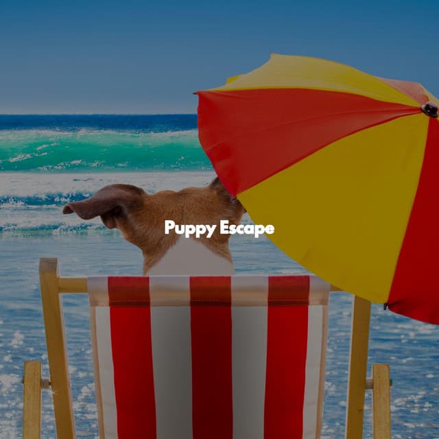 Puppy Escape - Slow Jazz