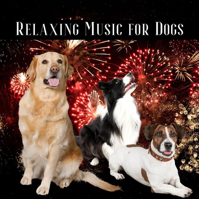 Relaxing Music for Dogs to calm from Fireworks, Loud Noises - Dog & Calm