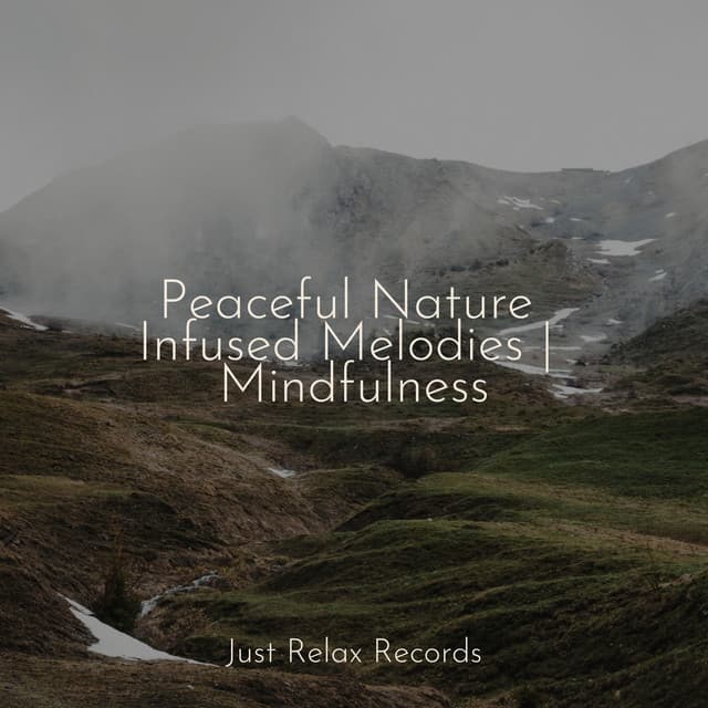 Peaceful Nature Infused Melodies | Mindfulness - Relaxamento