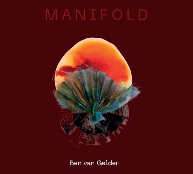 Manifold - Ben van Gelder