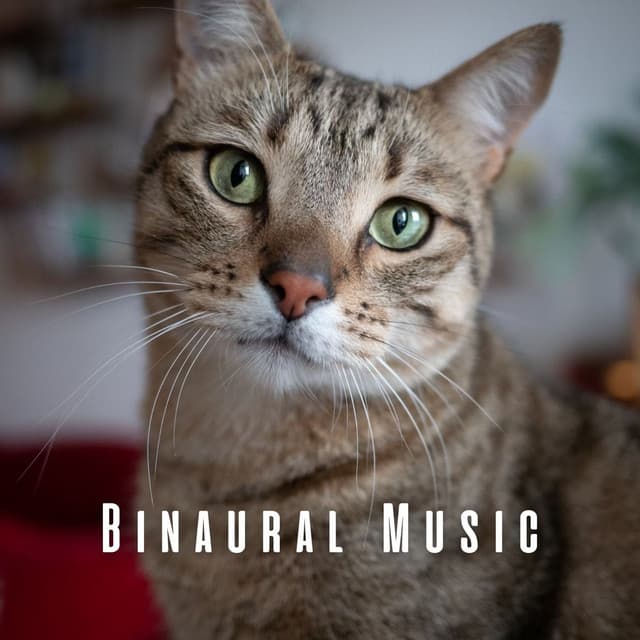Binaural Music: A Symphony for Cats - Binaural Explorer