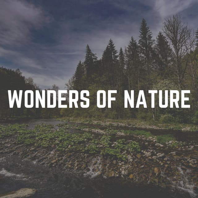 Wonders of Nature - Sounds Of The Earth