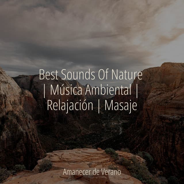 Best Sounds Of Nature | Música Ambiental | Relajación | Masaje - Meditación Maestro