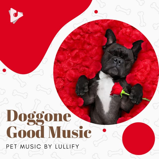 Doggone Good Music - Pet Music by Lullify