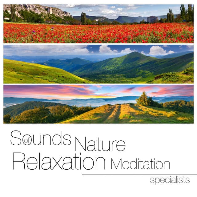 Sounds of Nature White Noise Relaxation Meditation Specialists - Relaxing Sounds of Nature White Noise Waheguru