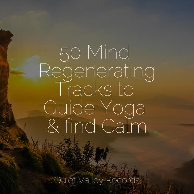 50 Mind Regenerating Tracks to Guide Yoga & find Calm - Musique Zen Garden