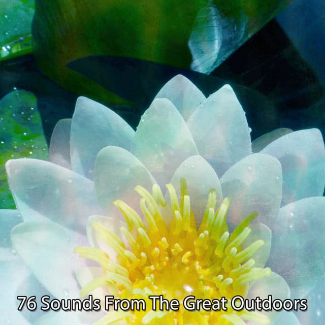 76 Sounds from the Great Outdoors - Forest Sounds