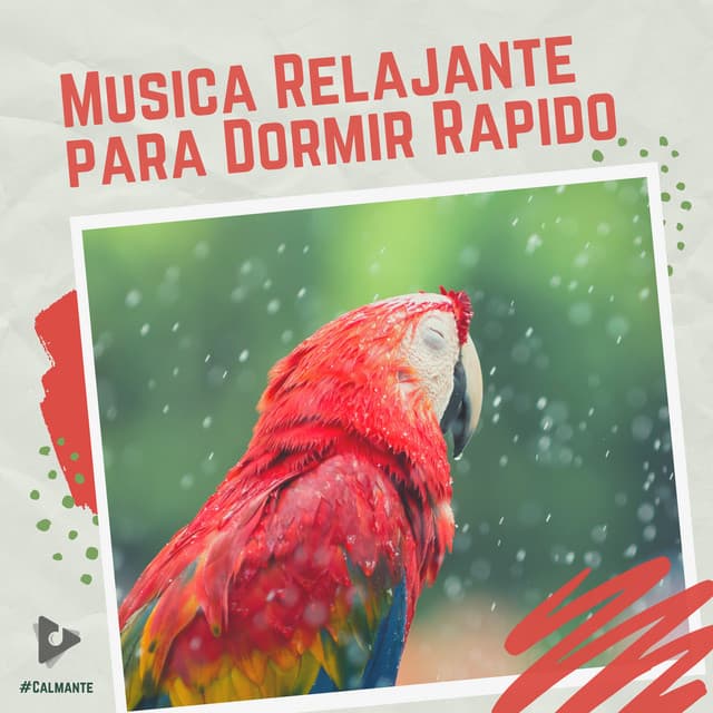 Música Relajante para Dormir Rápido - #Calmante