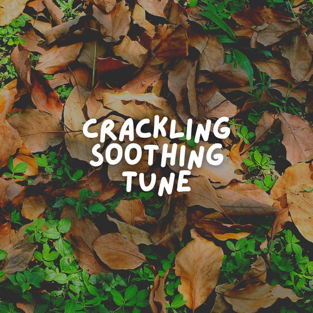 Crackling Soothing Tune - Soporific Pink Noise