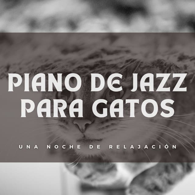 Piano De Jazz Para Gatos: Una Noche De Relajación - Equipo de piano relajante