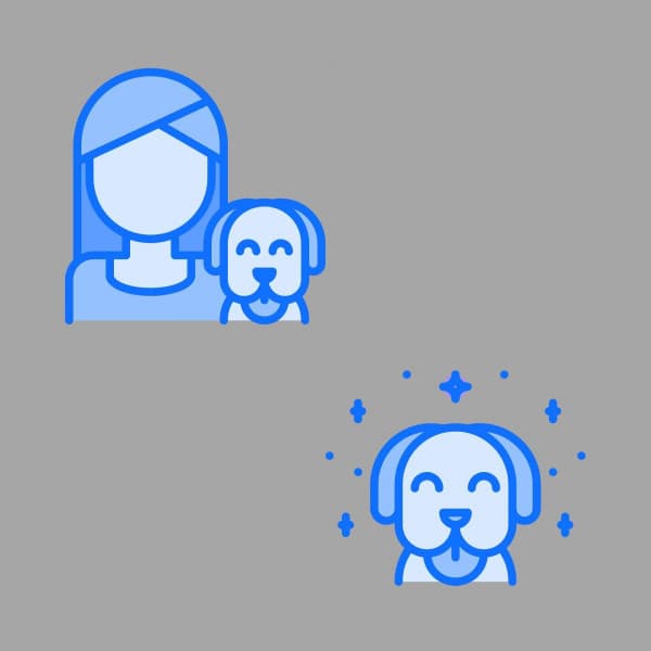 Outstanding Bgm for Doggo in Winter - Dog Anxiety Music