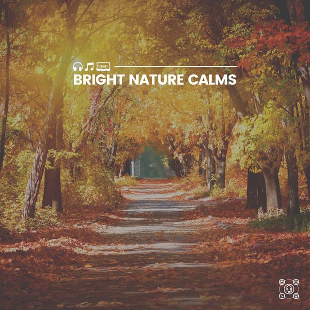 Bright Nature Calms - Weather Sounds