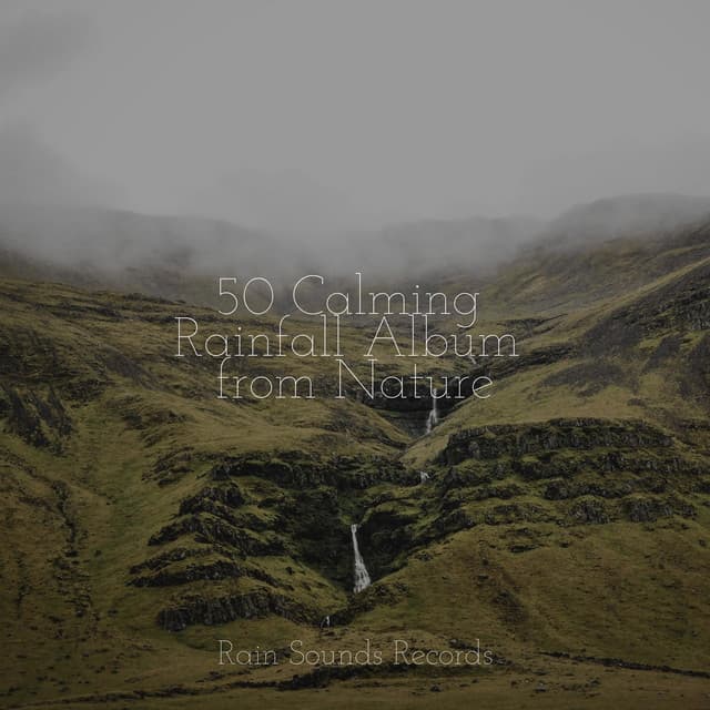50 Calming Rainfall Album from Nature - Sleep Sounds of Nature