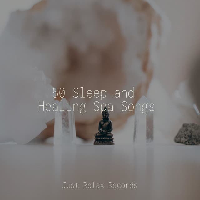 50 Sleep and Healing Spa Songs - Yoga Namaste