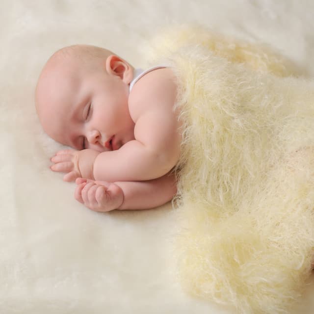 Dreamland Delight: Nature's Symphony for a Baby's Tranquil Slumber - Worldwide Nature Studios